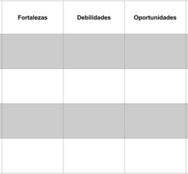 DAFO + Cuadro de Mando Integral